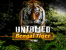 Автомат Untamed Bengal Tiger из казино Фараон